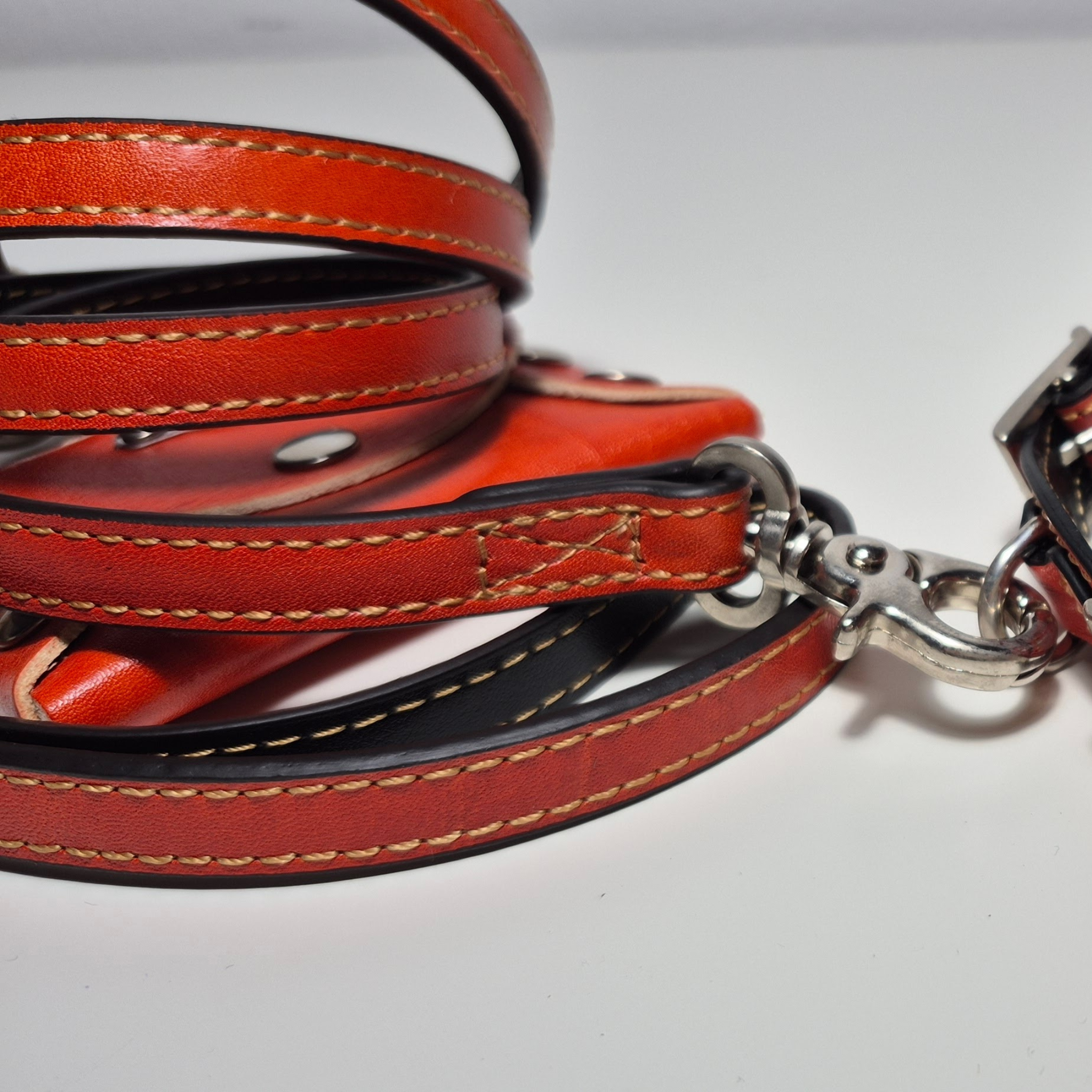Set Pettorina e Guinzaglio in Pelle con Porta Sacchetti